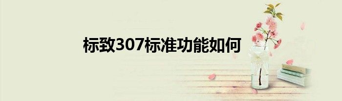 标致307标准功能如何