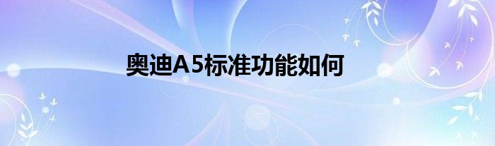 奥迪A5标准功能如何