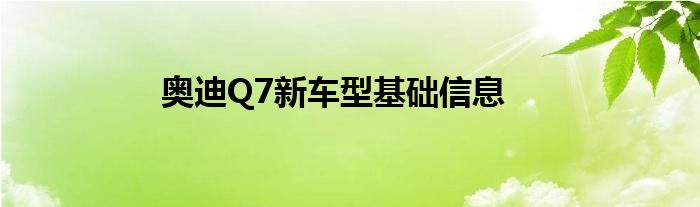 奥迪Q7新车型基础信息