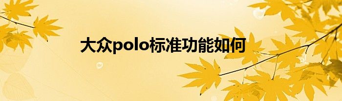 大众polo标准功能如何