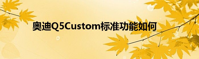 奥迪Q5Custom标准功能如何