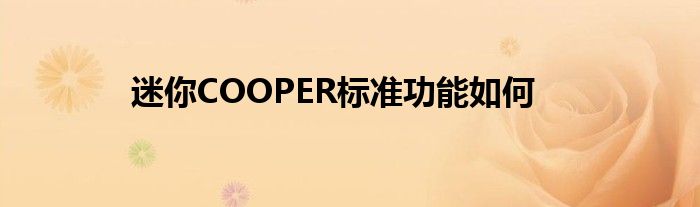 迷你COOPER标准功能如何