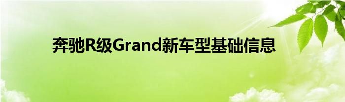 奔驰R级Grand新车型基础信息