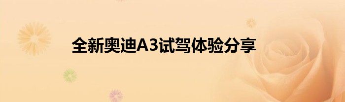 全新奥迪A3试驾体验分享