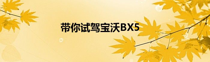 带你试驾宝沃BX5