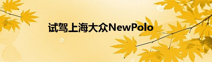 试驾上海大众NewPolo