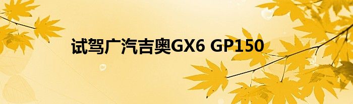 试驾广汽吉奥GX6 GP150