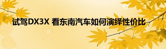 试驾DX3X 看东南汽车如何演绎性价比