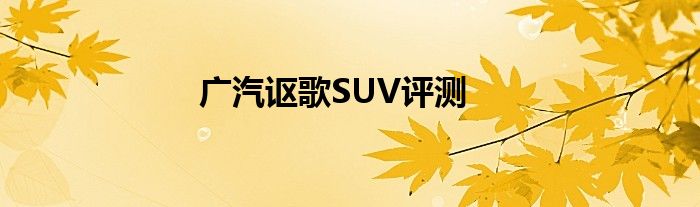 广汽讴歌SUV评测