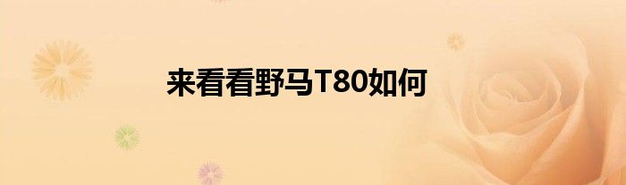 来看看野马T80如何