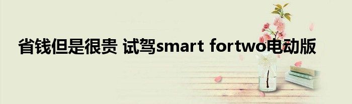 省钱但是很贵 试驾smart fortwo电动版