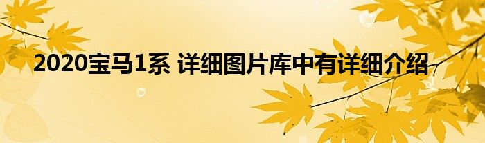 2020宝马1系 详细图片库中有详细介绍