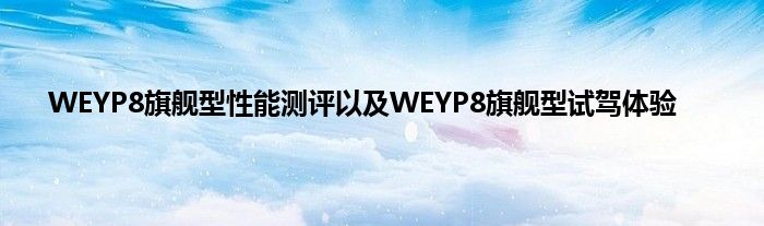 WEYP8旗舰型性能测评以及WEYP8旗舰型试驾体验