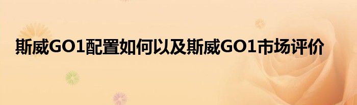 斯威GO1配置如何以及斯威GO1市场评价