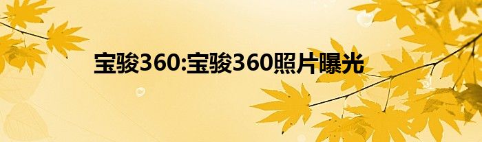 宝骏360:宝骏360照片曝光