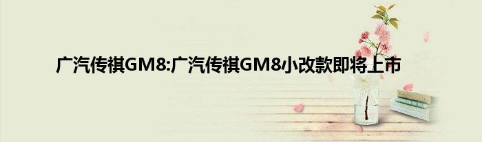 广汽传祺GM8:广汽传祺GM8小改款即将上市