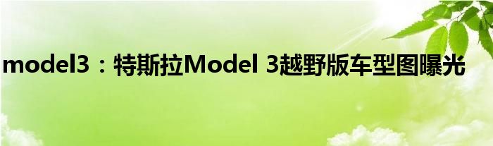 model3：特斯拉Model 3越野版车型图曝光