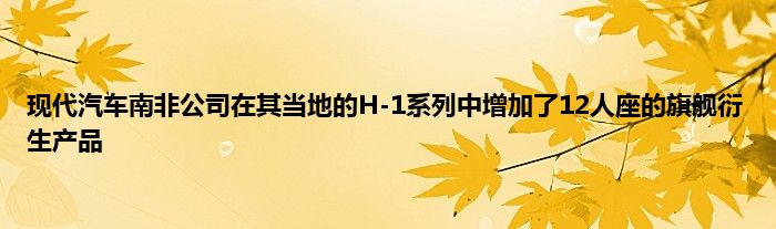 现代汽车南非公司在其当地的H-1系列中增加了12人座的旗舰衍生产品