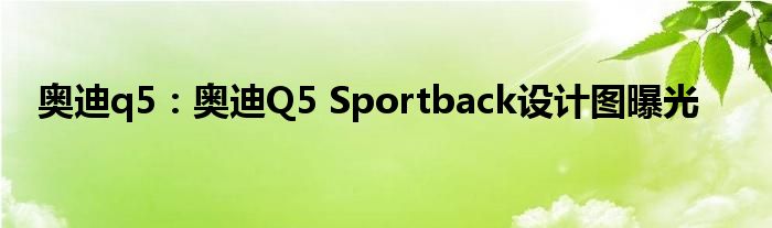 奥迪q5：奥迪Q5 Sportback设计图曝光