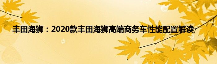 丰田海狮：2020款丰田海狮高端商务车性能配置解读