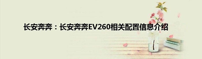 长安奔奔：长安奔奔EV260相关配置信息介绍