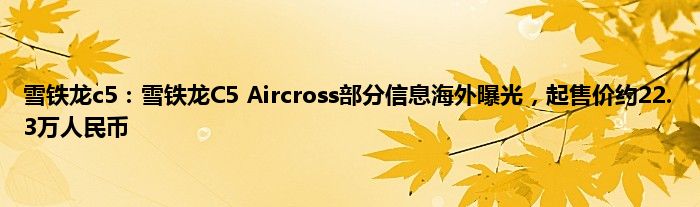 雪铁龙c5：雪铁龙C5 Aircross部分信息海外曝光，起售价约22.3万人民币