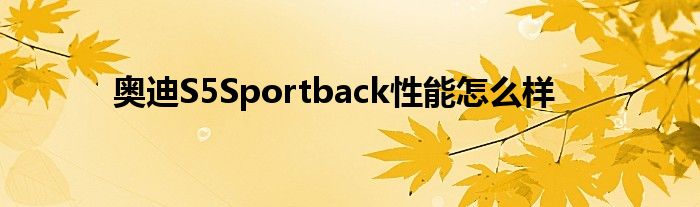 奥迪S5Sportback性能怎么样