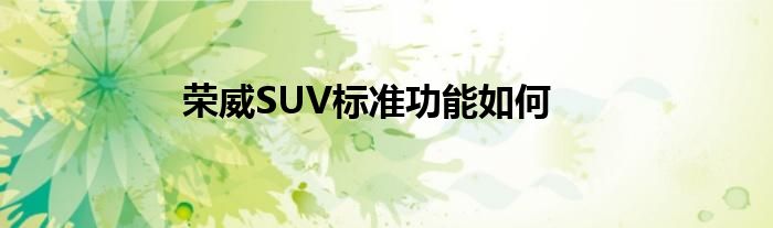 荣威SUV标准功能如何