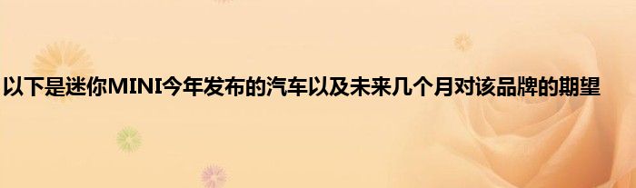 以下是迷你MINI今年发布的汽车以及未来几个月对该品牌的期望