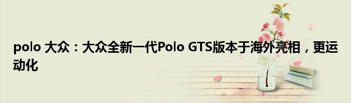 polo 大众：大众全新一代Polo GTS版本于海外亮相，更运动化