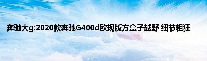 奔驰大g:2020款奔驰G400d欧规版方盒子越野 细节粗狂