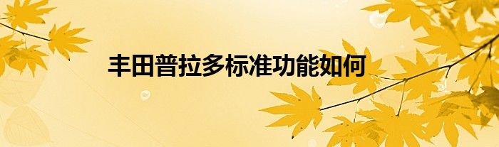 丰田普拉多标准功能如何