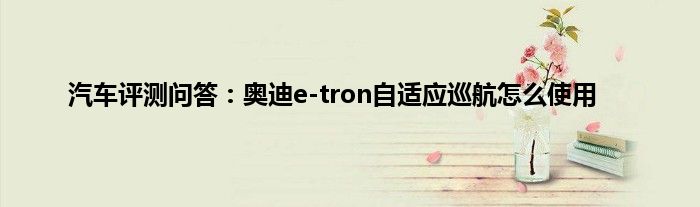 汽车评测问答：奥迪e-tron自适应巡航怎么使用