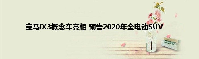 宝马iX3概念车亮相 预告2020年全电动SUV