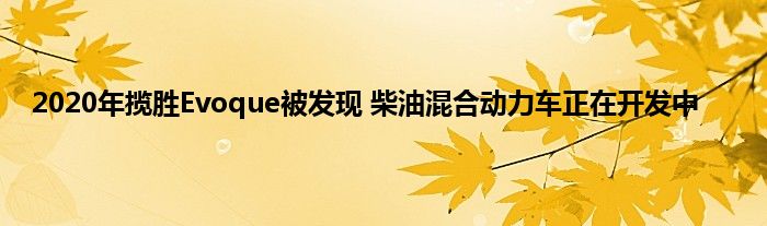 2020年揽胜Evoque被发现 柴油混合动力车正在开发中