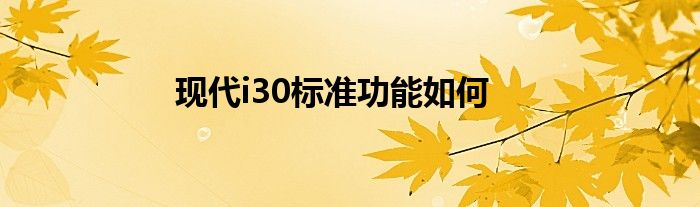 现代i30标准功能如何