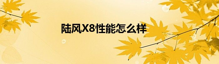 陆风X8性能怎么样