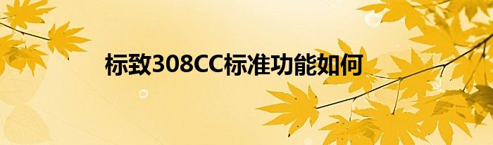 标致308CC标准功能如何