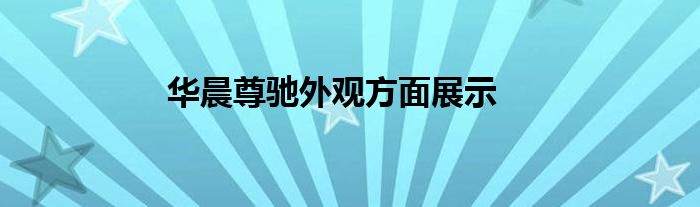 华晨尊驰外观方面展示