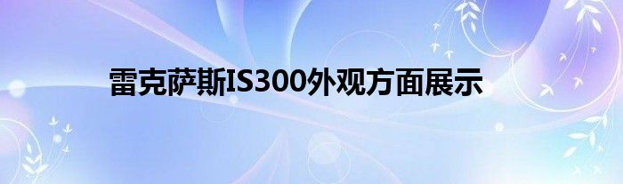 雷克萨斯IS300外观方面展示