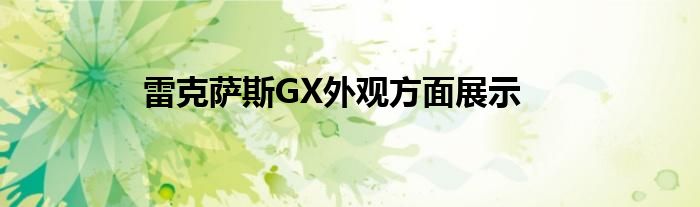 雷克萨斯GX外观方面展示