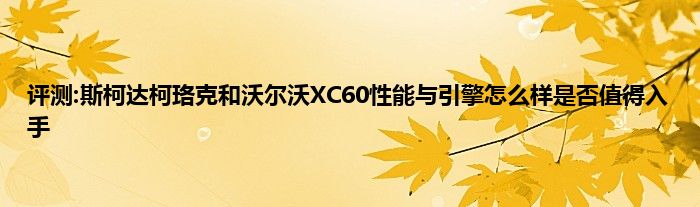 评测:斯柯达柯珞克和沃尔沃XC60性能与引擎怎么样是否值得入手