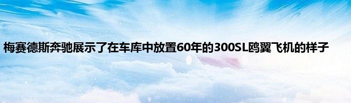 梅赛德斯奔驰展示了在车库中放置60年的300SL鸥翼飞机的样子