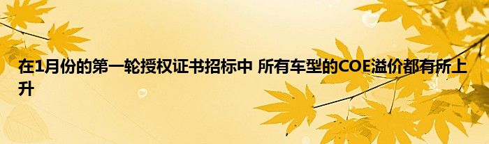 在1月份的第一轮授权证书招标中 所有车型的COE溢价都有所上升