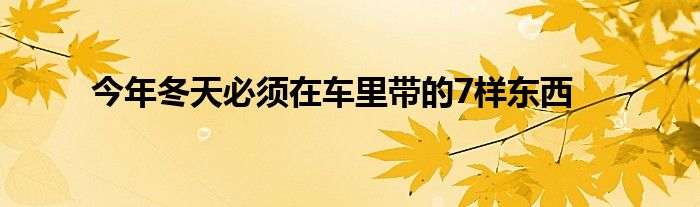 今年冬天必须在车里带的7样东西