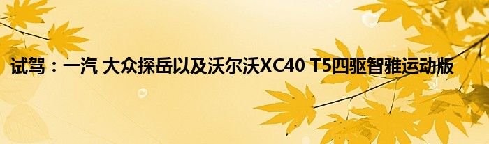 试驾：一汽 大众探岳以及沃尔沃XC40 T5四驱智雅运动版