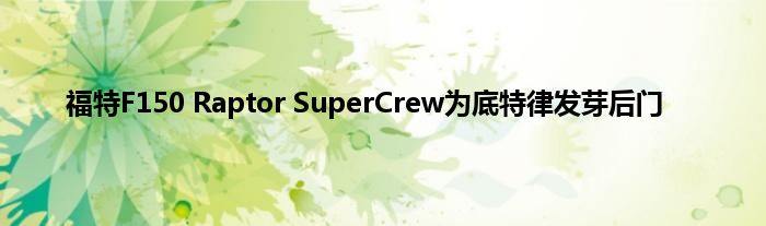 福特F150 Raptor SuperCrew为底特律发芽后门