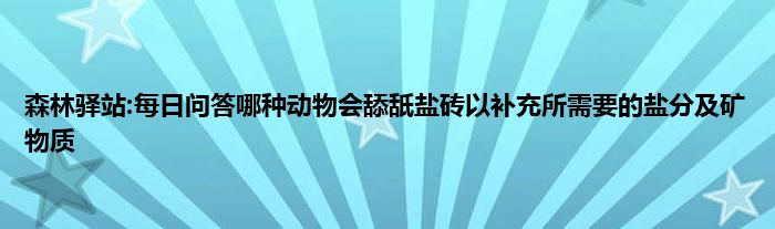 森林驿站:每日问答哪种动物会舔舐盐砖以补充所需要的盐分及矿物质