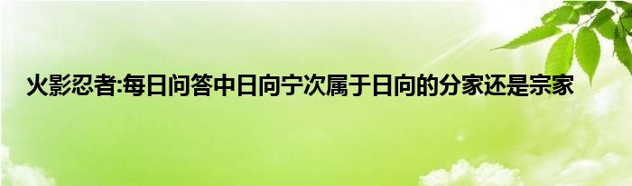 火影忍者:每日问答中日向宁次属于日向的分家还是宗家