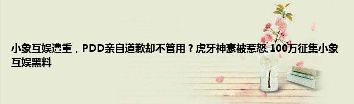 小象互娱遭重，PDD亲自道歉却不管用？虎牙神豪被惹怒,100万征集小象互娱黑料